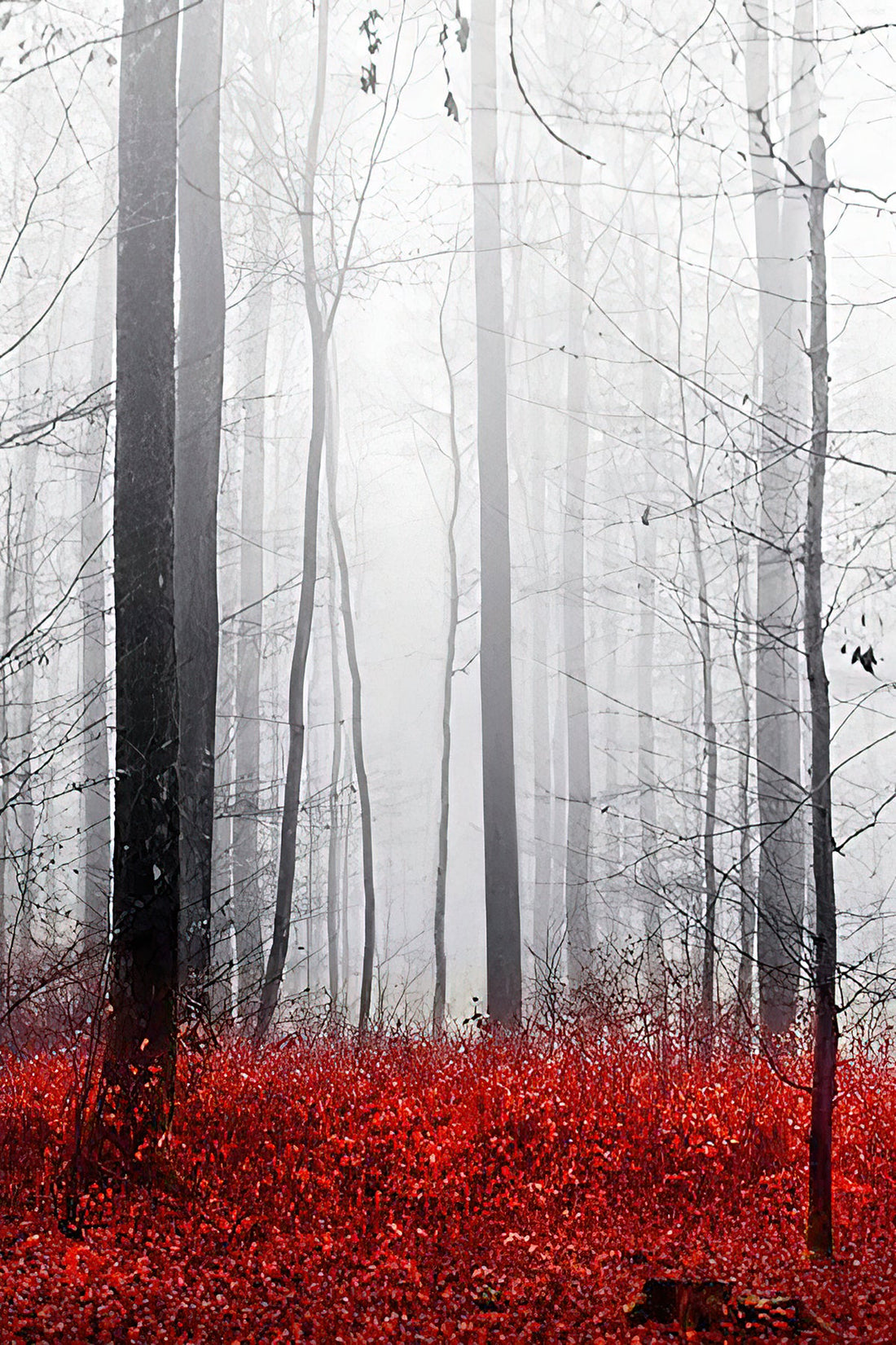 Enchanted Reverie