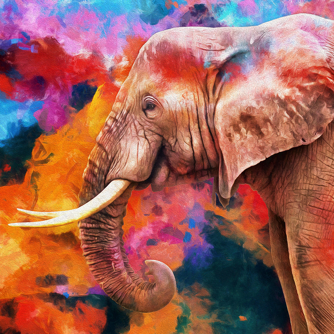 Psychedelic Pachyderm