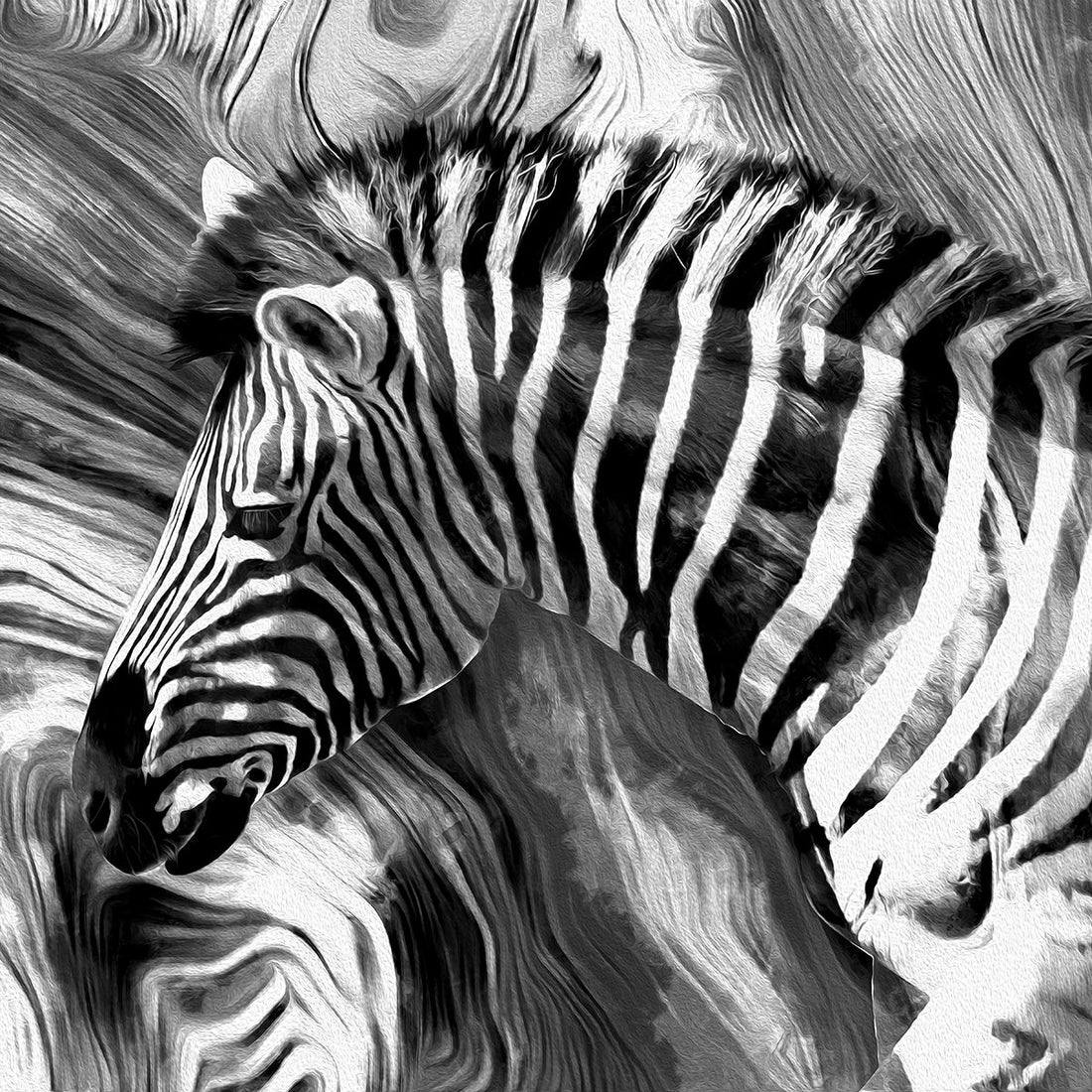 Stripes of Wonder