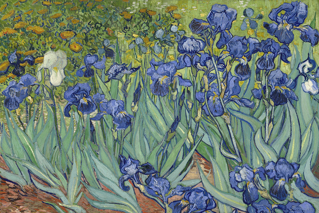 Irises (1889)